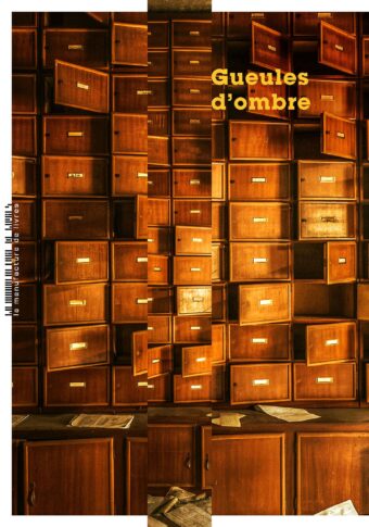 Lionel Destremau, Gueules d’ombre