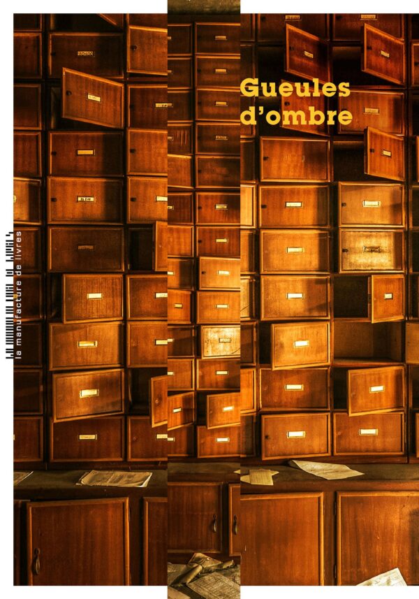 Lionel Destremau, Gueules d’ombre