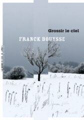 Franck Bouysse, Grossir le ciel