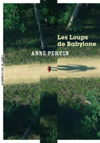 Anne Percin, Les Loups de Babylone