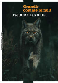 Fabrice Jambois, Grandir comme la nuit